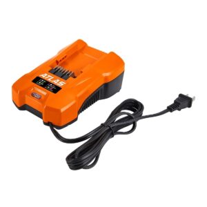 Cargador de batería estándar de doble voltaje de 40V y 80 V