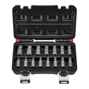 Juego de extractores de tornillos multiestriados  , 15 piezas
